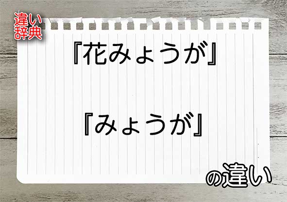 『花みょうが』と『みょうが』の違いの意味を早わかり！