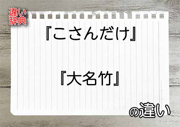 『こさんだけ』と『大名竹』の違いの意味を早わかり！