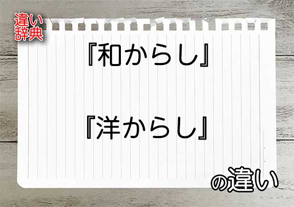 『和からし』と『洋からし』の違いの意味を早わかり！