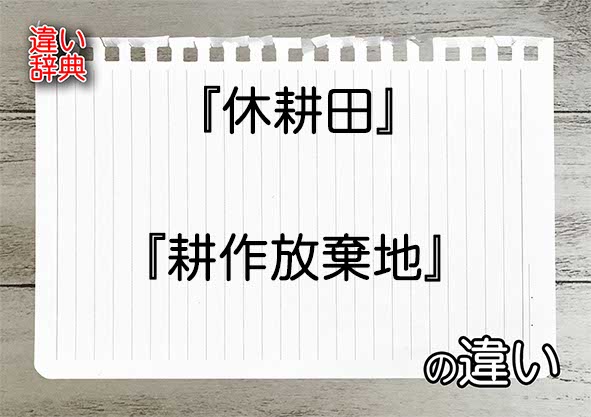 『休耕田』と『耕作放棄地』の違いの意味を早わかり！