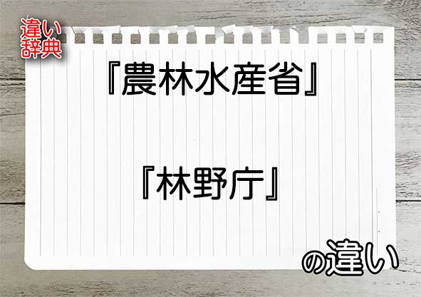 『農林水産省』と『林野庁』の違いの意味を早わかり！