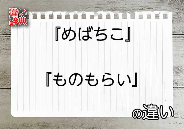 『めばちこ』と『ものもらい』の違いの意味を早わかり！