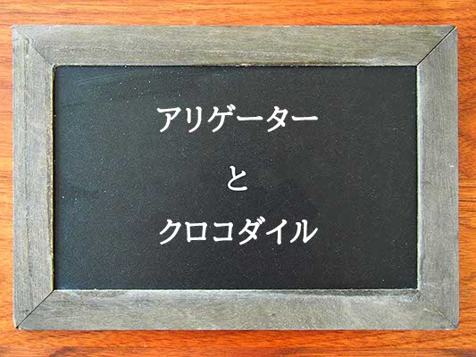 アリゲーターとクロコダイルの違いはとは？違いを解説