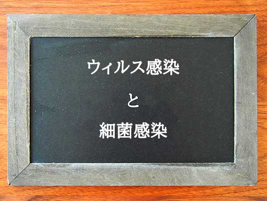 ウィルス感染と細菌感染の違いとは？違いを解説