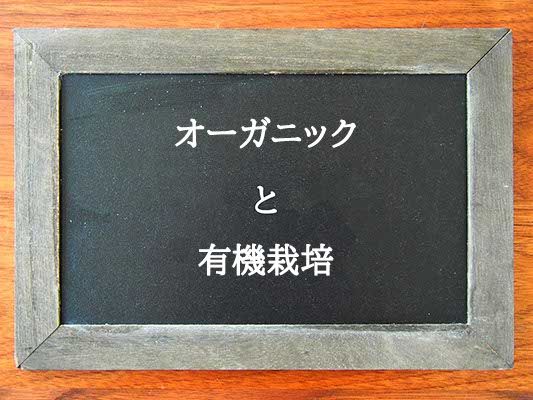 オーガニックと有機栽培の違いとは？違いを解説