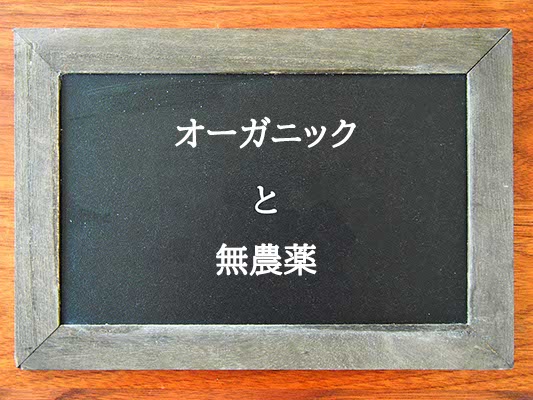 オーガニックと無農薬の違いとは？違いを解説