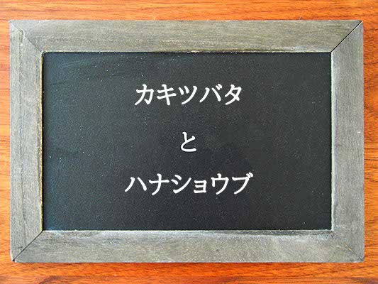 カキツバタとハナショウブの違いとは？違いを解説