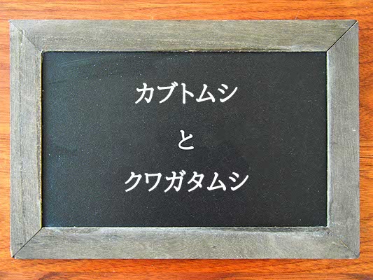 カブトムシとクワガタムシの違いとは？違いを解説