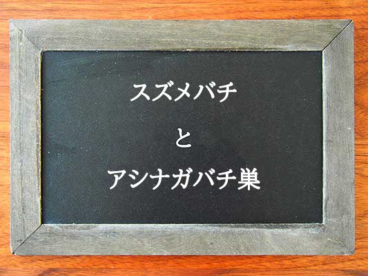 スズメバチとアシナガバチ巣の違いとは？違いを解説