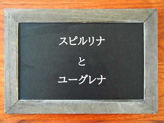 スピルリナとユーグレナの違いとは？違いを解説
