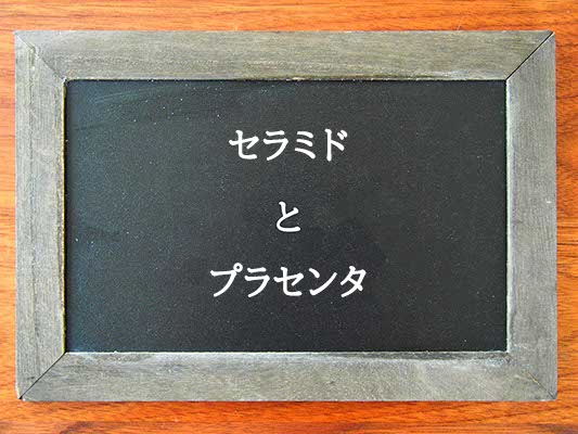 セラミドとプラセンタの違いとは？違いを解説