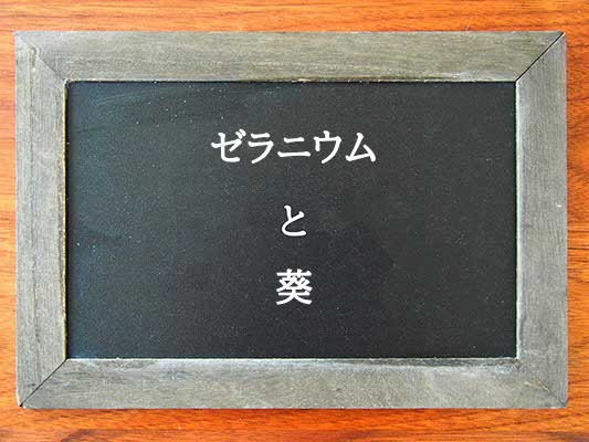 ゼラニウムと葵の違いとは？違いを解説