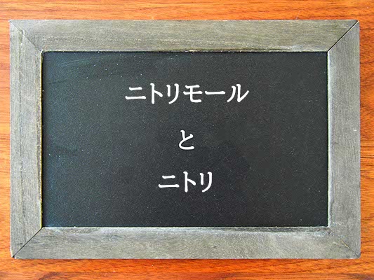 ニトリモールとニトリの違いとは？違いを解説