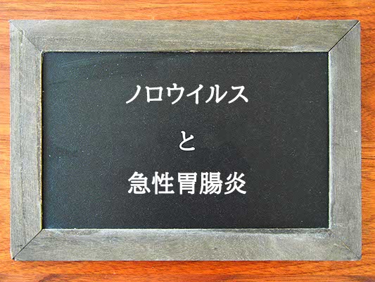 ノロウイルスと急性胃腸炎の違いとは？違いを解説