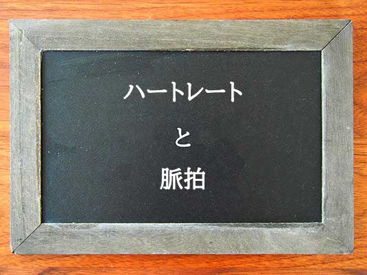 ハートレートと脈拍の違いとは？違いを解説