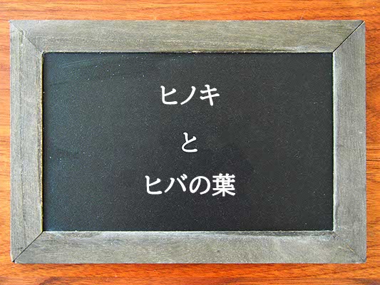 ヒノキとヒバの葉の違いとは？違いを解説