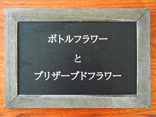 ボトルフラワーとプリザーブドフラワーの違いとは？違いを解説