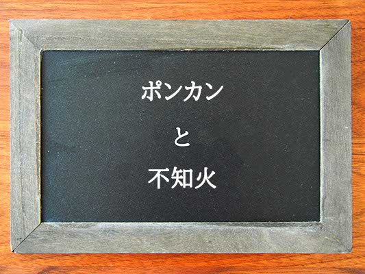 ポンカンと不知火の違いとは？違いを解説