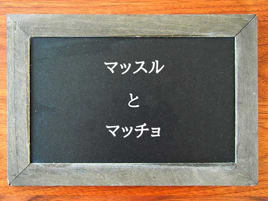 マッスルとマッチョの違いとは？違いを解説