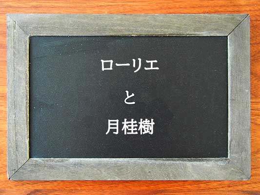 ローリエと月桂樹の違いとは？違いを解説