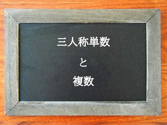 三人称単数と複数の違いとは？違いを解説