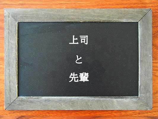 上司と先輩の違いとは？違いを解説