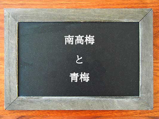 南高梅と青梅の違いとは？違いを解説