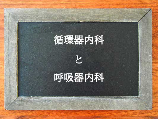 循環器内科と呼吸器内科の違いとは？違いを解説