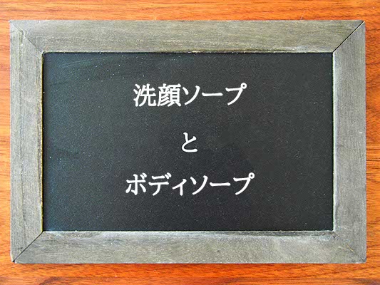 洗顔ソープとボディソープの違いとは？違いを解説