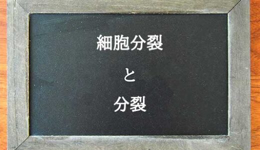 細胞分裂と分裂の違いとは？違いを解説