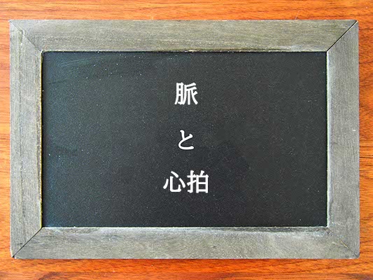 脈と心拍の違いとは？違いを解説