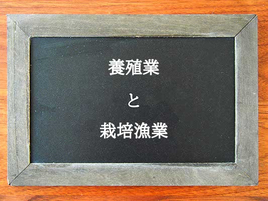 養殖業と栽培漁業の違いとは？違いを解説