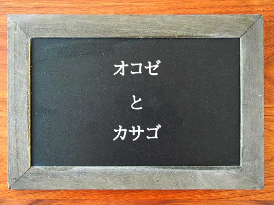 オコゼとカサゴの違いとは？違いを解説