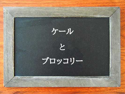 ケールとブロッコリーの違いとは？違いを解説