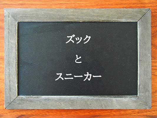 ズックとスニーカーの違いとは？違いを解説