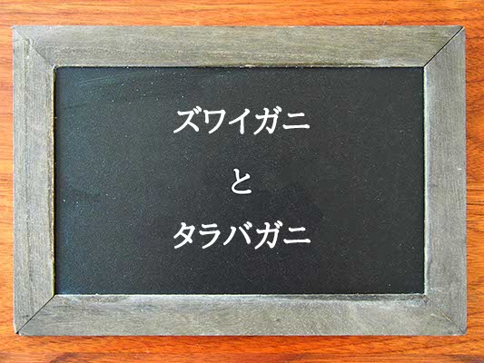 ズワイガニとタラバガニの違いとは？違いを解説