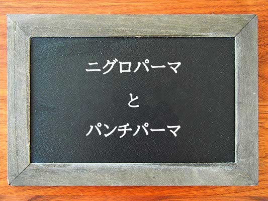 ニグロパーマとパンチパーマの違いとは？違いを解説