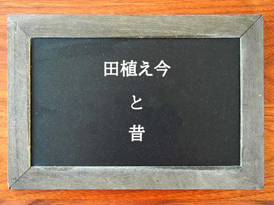 田植え今と昔の違いとは？違いを解説