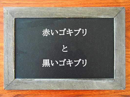 赤いゴキブリと黒いゴキブリの違いとは？違いを解説