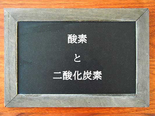 酸素と二酸化炭素の違いとは？違いを解説