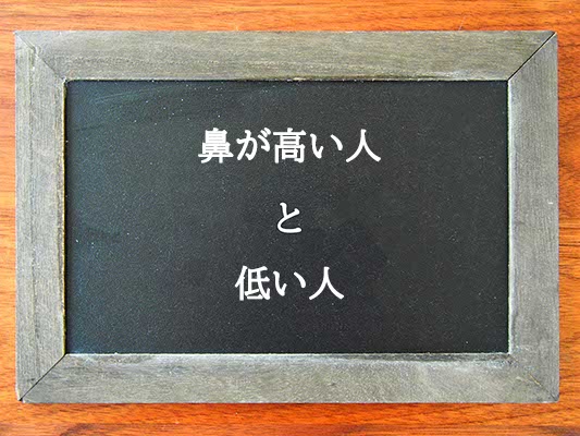 鼻が高い人と低い人の違いとは？違いを解説