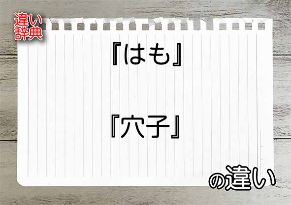 『はも』と『穴子』の違いの意味を早わかり！