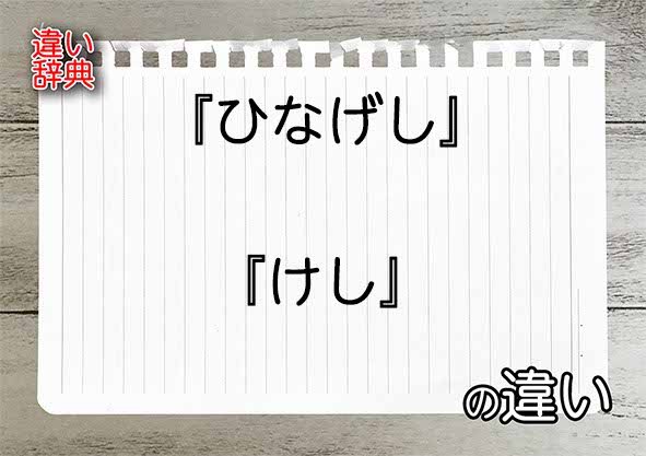 『ひなげし』と『けし』の違いの意味を早わかり！