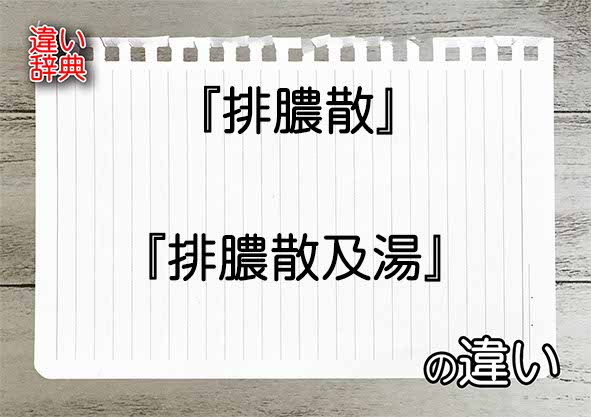 『排膿散』と『排膿散及湯』の違いの意味を早わかり！