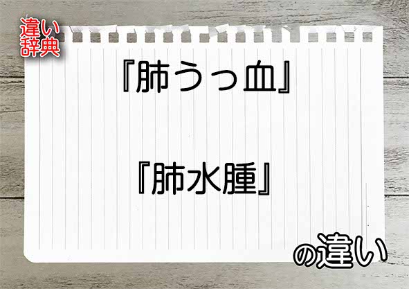 『肺うっ血』と『肺水腫』の違いの意味を早わかり！