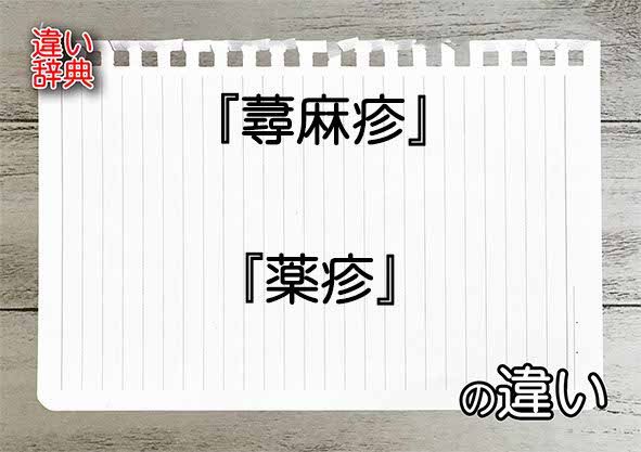 『蕁麻疹』と『薬疹』の違いの意味を早わかり！