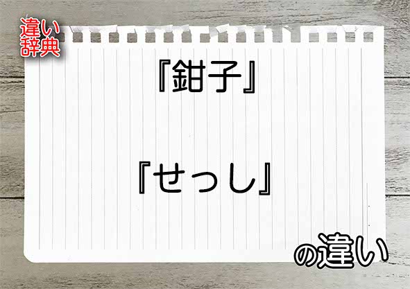 『鉗子』と『せっし』の違いの意味を早わかり！