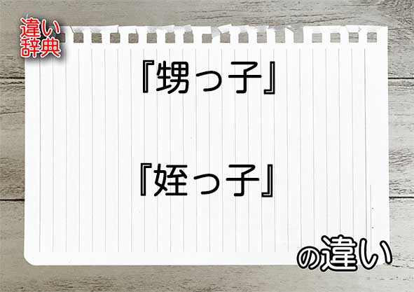 『甥っ子』と『姪っ子』の違いの意味を早わかり！