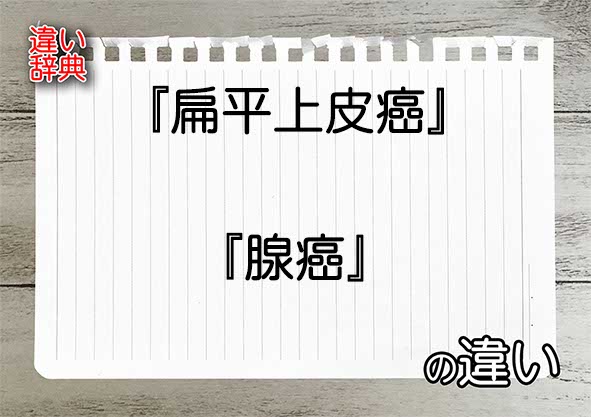 『扁平上皮癌』と『腺癌』の違いの意味を早わかり！