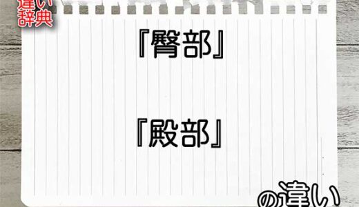 『臀部』と『殿部』の違いの意味を早わかり！